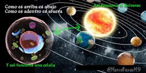 Como es arriba es abajo